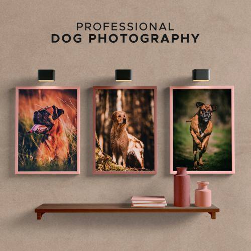 barkingmaddogphotos-fb-ad-image-2